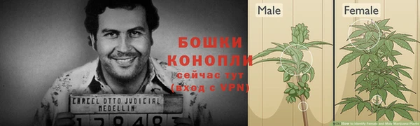 Альфа ПВП Заводоуковск