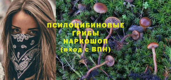 Альфа ПВП Заводоуковск
